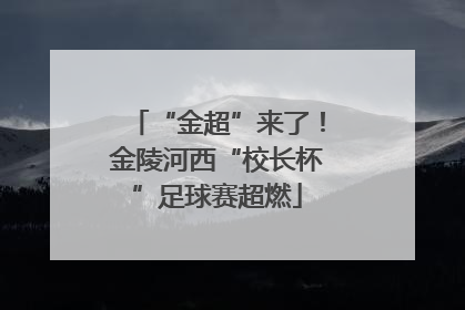 “金超”来了！金陵河西“校长杯”足球赛超燃