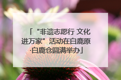 “非遗志愿行 文化进万家”活动在白鹿原·白鹿仓圆满举办