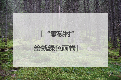 “零碳村” 绘就绿色画卷