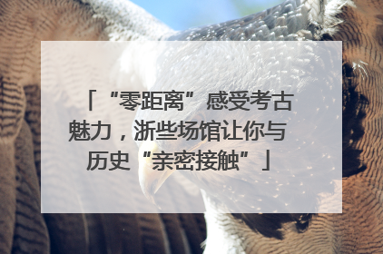 “零距离”感受考古魅力，浙些场馆让你与历史“亲密接触”