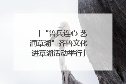 “鲁兵连心 艺润草湖”齐鲁文化进草湖活动举行