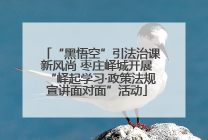“黑悟空”引法治课新风尚 枣庄峄城开展“峄起学习·政策法规宣讲面对面”活动