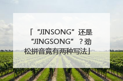 “JINSONG”还是“JINGSONG”？劲松拼音竟有两种写法