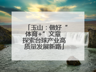 玉山：做好“体育+”文章 探索台球产业高质量发展新路