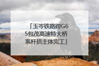 玉岑铁路跨G65包茂高速特大桥系杆拱主体完工