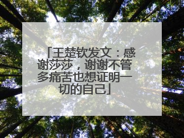 王楚钦发文：感谢莎莎，谢谢不管多痛苦也想证明一切的自己