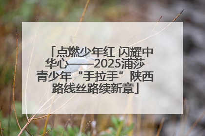 点燃少年红 闪耀中华心——2025浦莎青少年“手拉手”陕西路线丝路续新章
