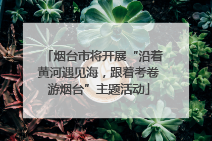烟台市将开展“沿着黄河遇见海，跟着考卷游烟台”主题活动