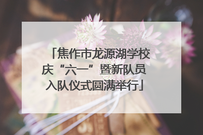 焦作市龙源湖学校庆“六一”暨新队员入队仪式圆满举行
