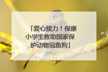 爱心接力！保康小学生救助国家保护动物冠鱼狗