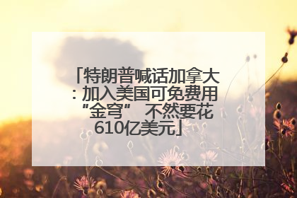 特朗普喊话加拿大：加入美国可免费用“金穹” 不然要花610亿美元