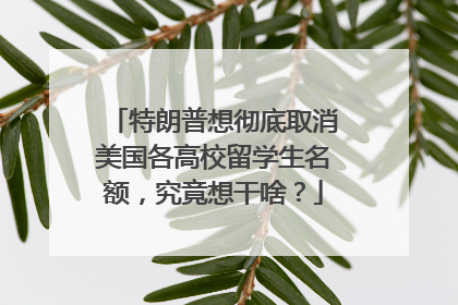 特朗普想彻底取消美国各高校留学生名额，究竟想干啥？
