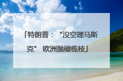 特朗普：“没空理马斯克” 欧洲抛橄榄枝