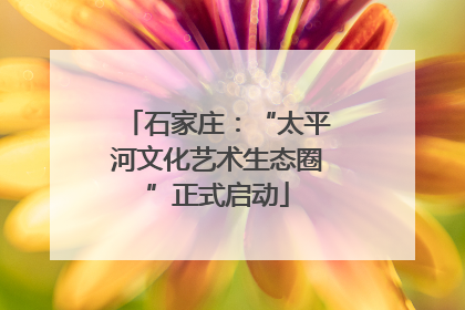 石家庄：“太平河文化艺术生态圈”正式启动