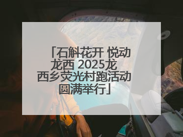 石斛花开 悦动龙西 2025龙西乡荧光村跑活动圆满举行
