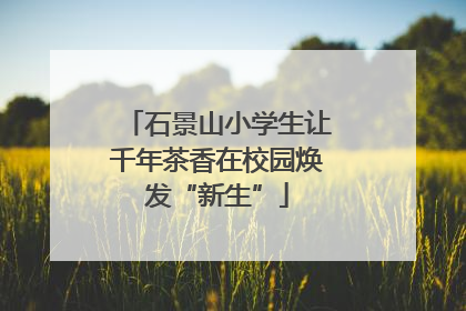 石景山小学生让千年茶香在校园焕发“新生”