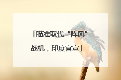 瞄准取代“阵风”战机，印度官宣