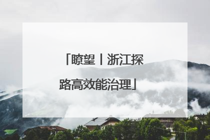瞭望丨浙江探路高效能治理