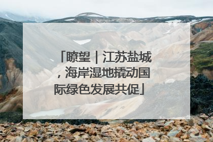 瞭望｜江苏盐城，海岸湿地撬动国际绿色发展共促