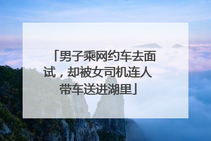 男子乘网约车去面试，却被女司机连人带车送进湖里