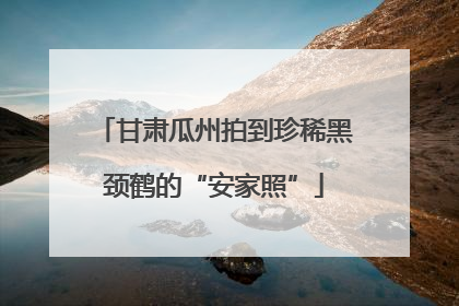 甘肃瓜州拍到珍稀黑颈鹤的“安家照”