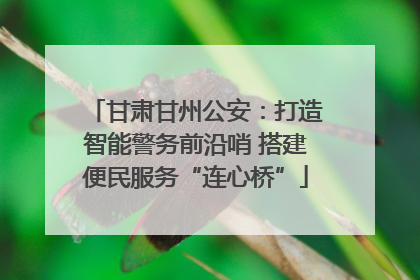 甘肃甘州公安：打造智能警务前沿哨 搭建便民服务“连心桥”