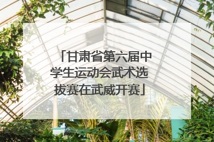 甘肃省第六届中学生运动会武术选拔赛在武威开赛
