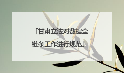 甘肃立法对数据全链条工作进行规范
