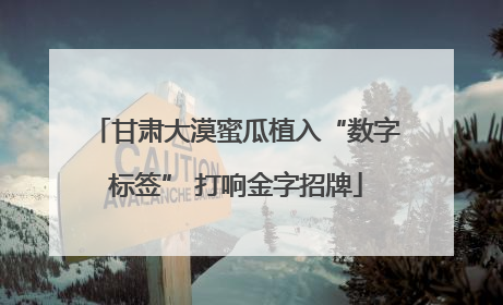 甘肃大漠蜜瓜植入“数字标签” 打响金字招牌