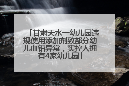 甘肃天水一幼儿园违规使用添加剂致部分幼儿血铅异常，实控人拥有4家幼儿园