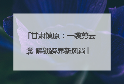 甘肃镇原：一袭剪云裳 解锁跨界新风尚