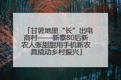 甘薯地里“长”出电商村——新泰80后新农人张甜甜用手机新农具撬动乡村振兴