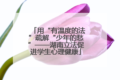 用“有温度的法”疏解“少年的愁”——湖南立法促进学生心理健康