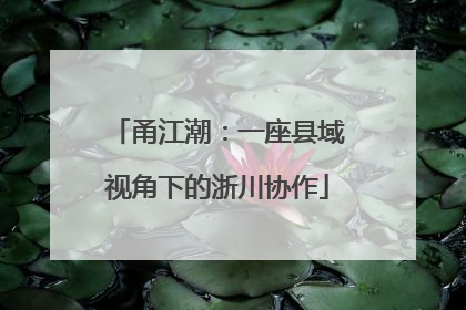 甬江潮：一座县域视角下的浙川协作