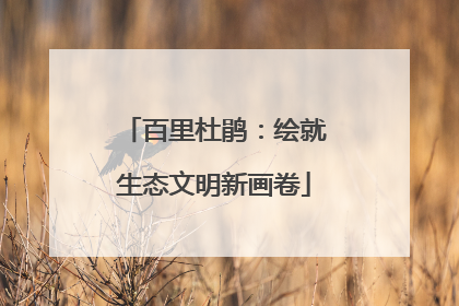 百里杜鹃：绘就生态文明新画卷