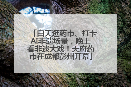 白天逛药市、打卡AI非遗场景，晚上看非遗大戏！天府药市在成都彭州开幕
