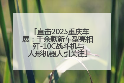 直击2025重庆车展：千余款新车型亮相 歼-10C战斗机与人形机器人引关注