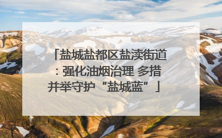 盐城盐都区盐渎街道：强化油烟治理 多措并举守护“盐城蓝”