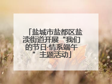 盐城市盐都区盐渎街道开展“我们的节日·情系端午”主题活动