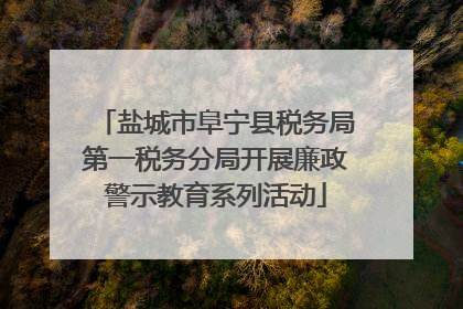 盐城市阜宁县税务局第一税务分局开展廉政警示教育系列活动