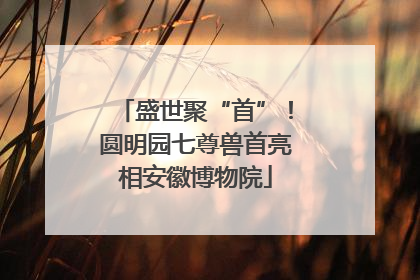盛世聚“首”！圆明园七尊兽首亮相安徽博物院