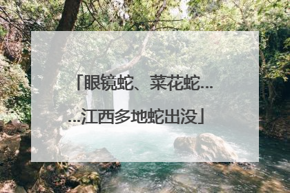 眼镜蛇、菜花蛇……江西多地蛇出没