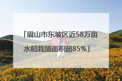 眉山市东坡区近58万亩水稻栽插面积超85%
