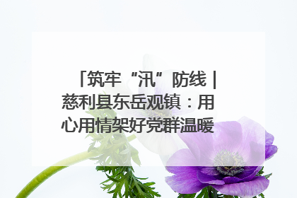 筑牢“汛”防线｜慈利县东岳观镇：用心用情架好党群温暖悠长的“连心桥”