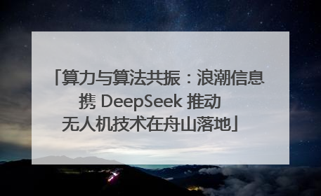 算力与算法共振：浪潮信息携 DeepSeek 推动无人机技术在舟山落地