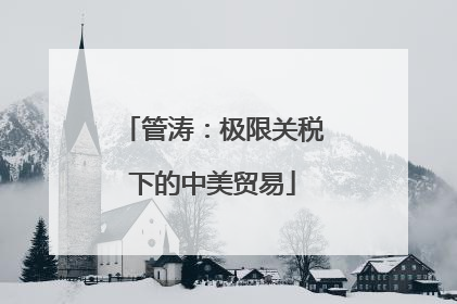 管涛：极限关税下的中美贸易