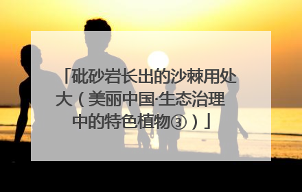 砒砂岩长出的沙棘用处大（美丽中国·生态治理中的特色植物③）