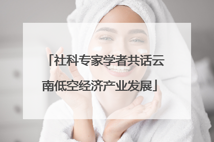 社科专家学者共话云南低空经济产业发展