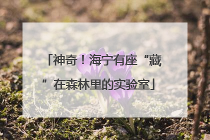 神奇！海宁有座“藏”在森林里的实验室