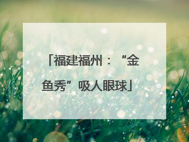 福建福州：“金鱼秀”吸人眼球